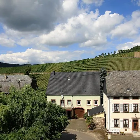 Casa de hóspedes Moselurlaub Im Ferienweinhaus Koch Neumagen-Dhron