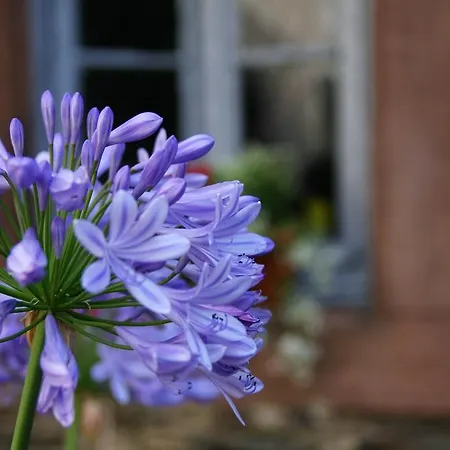 Penzion Moselurlaub Im Ferienweinhaus Koch Neumagen-Dhron