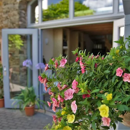 Moselurlaub Im Ferienweinhaus Koch נוימאגן-דרון