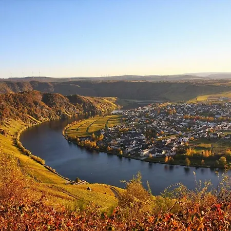 Moselurlaub Im Ferienweinhaus Koch 3*