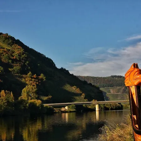 Moselurlaub Im Ferienweinhaus Koch Casa de hóspedes Neumagen-Dhron