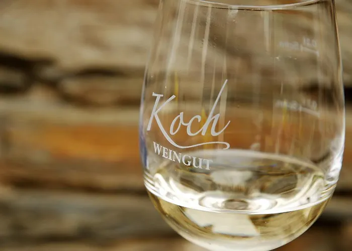 Moselurlaub Im Ferienweinhaus Koch נוימאגן-דרון