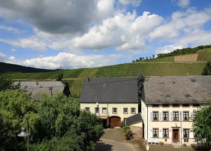 בית הארחה Moselurlaub Im Ferienweinhaus Koch נוימאגן-דרון