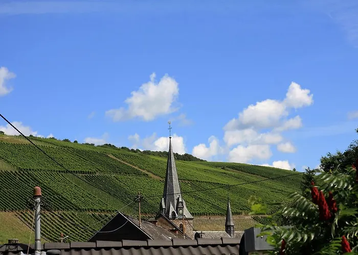 בית הארחה Moselurlaub Im Ferienweinhaus Koch נוימאגן-דרון