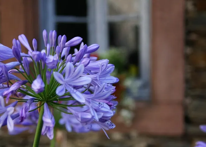 בית הארחה Moselurlaub Im Ferienweinhaus Koch נוימאגן-דרון