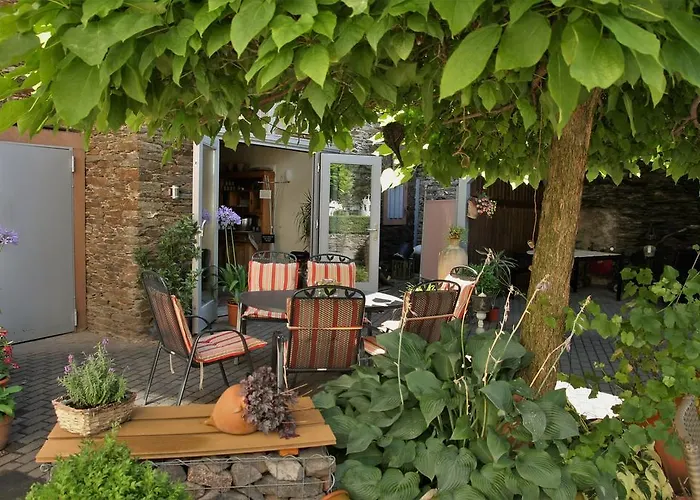 Moselurlaub Im Ferienweinhaus Koch