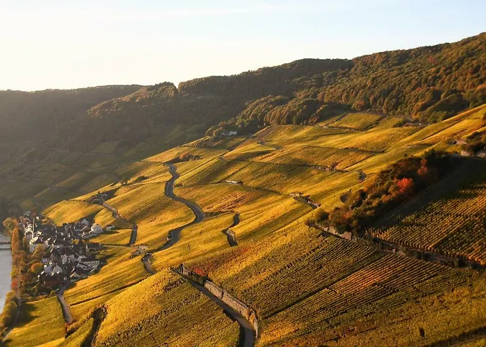 Moselurlaub Im Ferienweinhaus Koch 3* נוימאגן-דרון